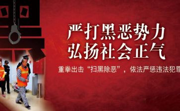 扫黑除恶半年度工作总结8篇