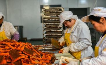 安全生产活动的总结优秀5篇