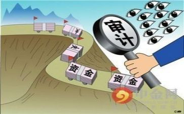 半年度审计工作总结优质6篇