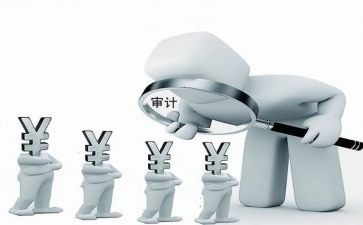 审计半年度总结6篇