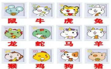 十二生肖画教案精选6篇