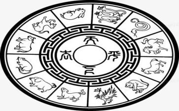 十二生肖画教案推荐5篇