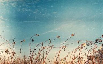 《二十年后》读后感7篇