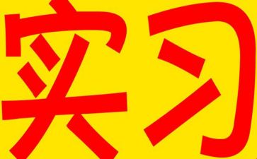 实习工作总结模板最新7篇