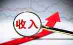 非税收入的自查报告5篇