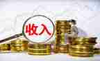 收入调查报告7篇