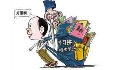 2024双减培训心得体会8篇