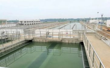 2024水厂职工年终总结8篇