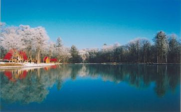 多彩四季作文5篇