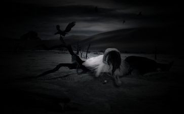 死亡的脸读后感5篇