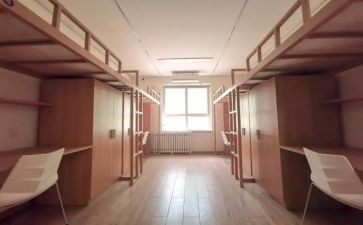 女宿舍工作总结模板6篇