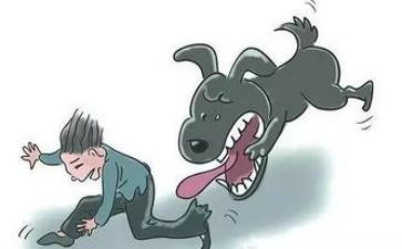他是谁教案5篇