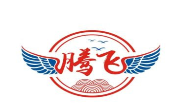 腾飞的祖国读后感8篇