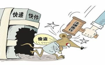 偷来的孩子读书心得模板5篇
