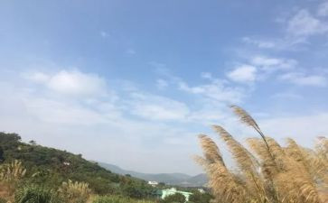 让我的一天作文参考7篇