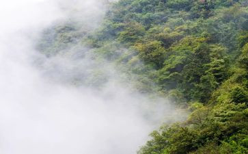 雾霾的调查报告6篇