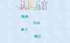 五官小作文推荐7篇
