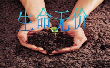 无价作文600字模板7篇