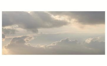 我想飞幼儿教案5篇