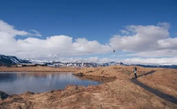 我想飞的教案推荐6篇