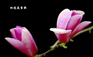 初相逢作文通用6篇