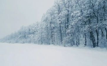 下雪幼儿园教案参考7篇