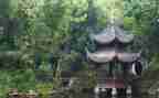 写物高中作文5篇