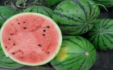 西瓜乐游戏教案7篇