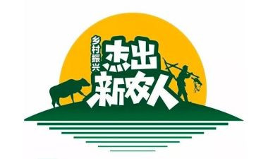 新农村社会实践报告5篇