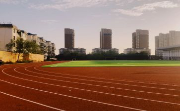 学校体育部月总结模板7篇