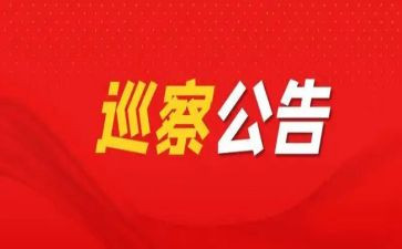 巡察员工作总结6篇
