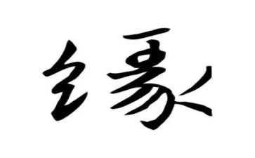 我的读书缘作文推荐8篇