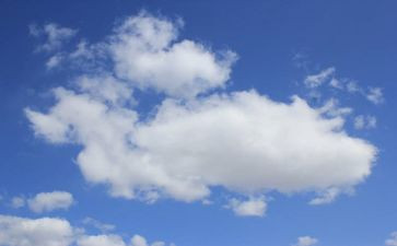 托班远和近教案8篇