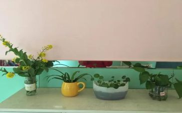 幼儿园培训师心得体会推荐5篇