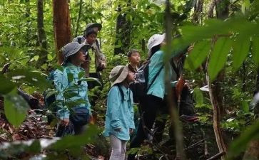 雨林探险之旅作文5篇