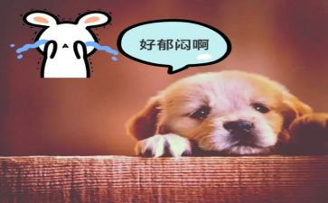 郁闷的我作文6篇