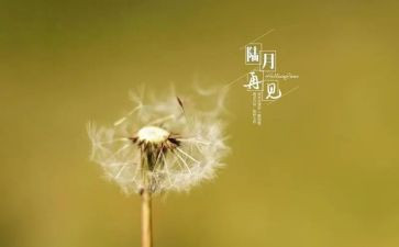 再见2023你好2023演讲稿6篇