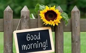 早教活动方案6篇