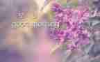读《早》有感作文优质7篇