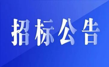 招标代理公司年度总结5篇