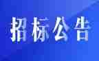 招标代理公司年度总结5篇