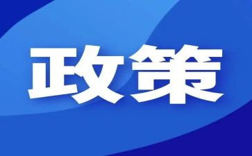 双减政策培训总结8篇