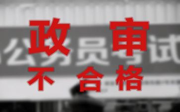 公务员政审表个人总结7篇