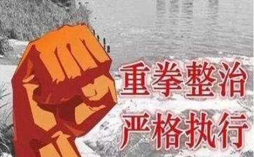 2024年环境卫生整治工作总结参考5篇