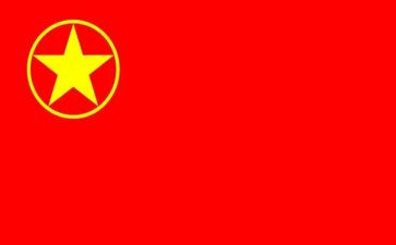 乡镇团委2024年述职报告7篇