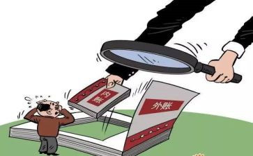 2024年总账会计半年度工作总结8篇