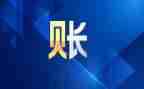 总账会计心得体会8篇